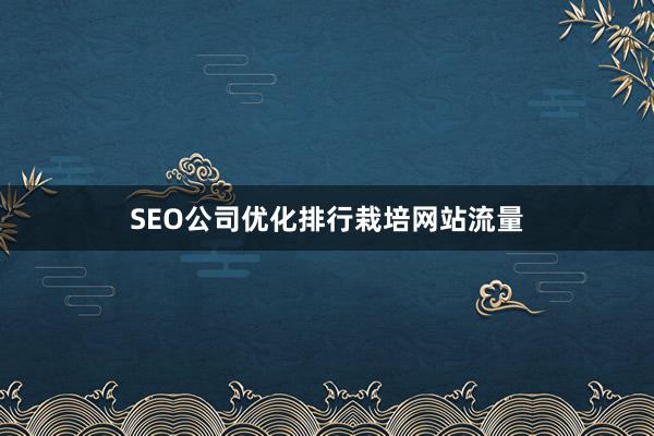 SEO公司优化排行栽培网站流量